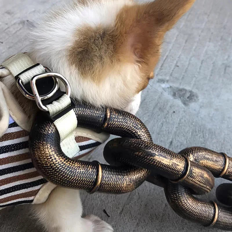 Trendy and Fun Dog Leash - PawChic Bowlift
