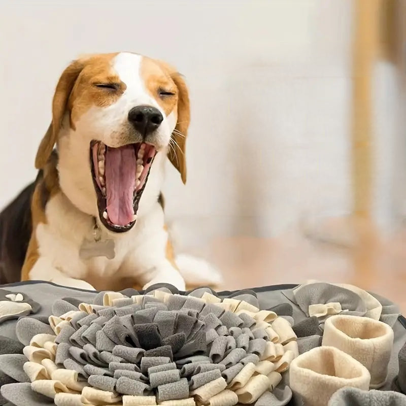 Turn Mealtime into a Sniffing Adventure – Buddy Snuffle Mat Bowlift