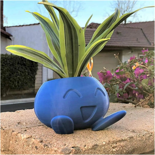BowLift | Unique Succulent Planter - QuirkyPot