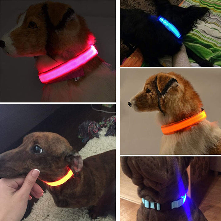 BowLift | Luminous Animal Collar with LED Light – Rechargeable, Waterproof, Adjustable Fit for Enhanced Safety at Night