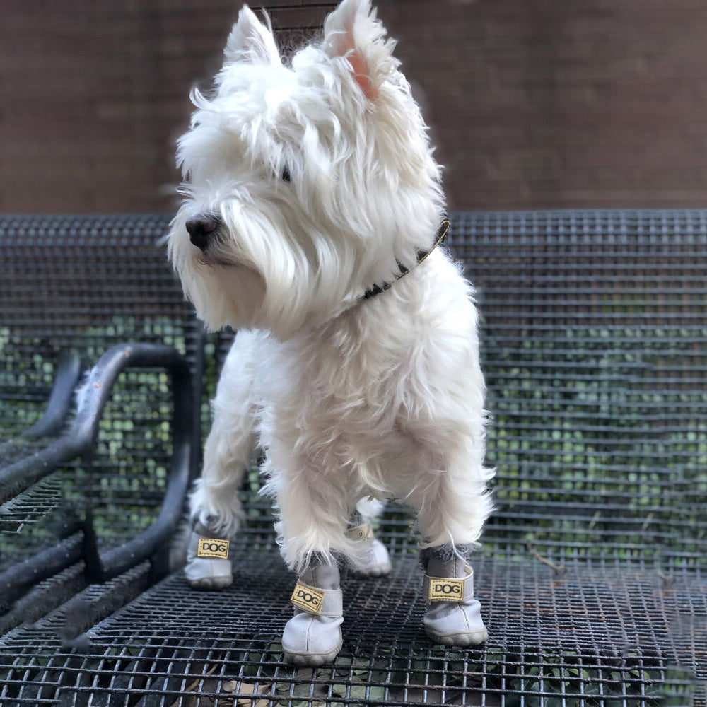 Warm Dogs Snow Boots - SnowPaws Bowlift