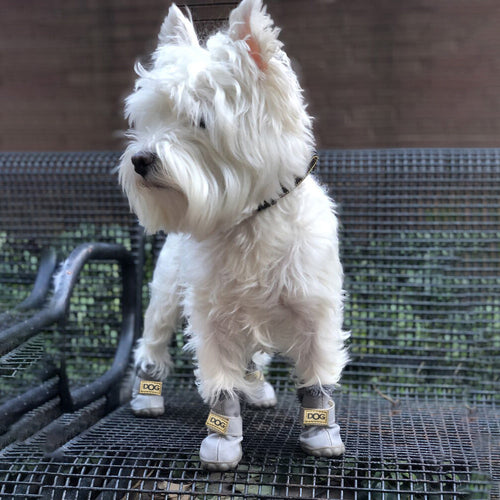 Warm Dogs Snow Boots - SnowPaws Bowlift