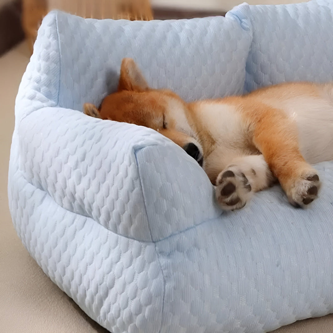 BowLift | Washable Plush Pet Cushion Bed - CozyPaws