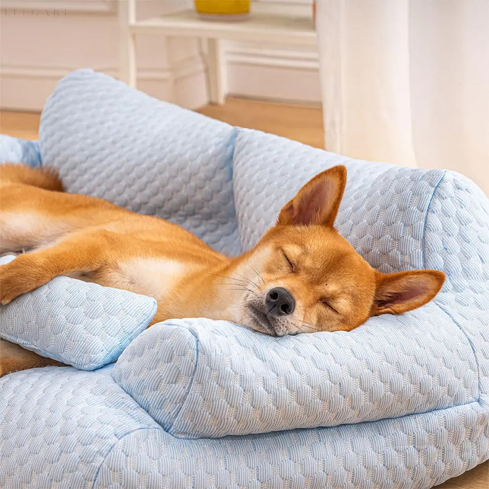 BowLift | Washable Plush Pet Cushion Bed - CozyPaws