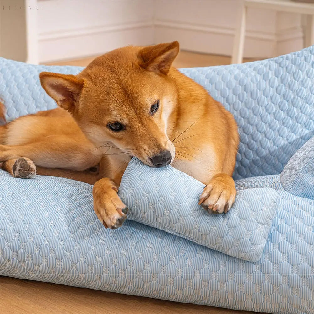 BowLift | Washable Plush Pet Cushion Bed - CozyPaws