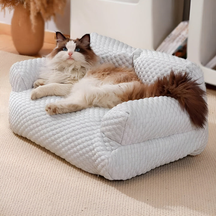 BowLift | Washable Plush Pet Cushion Bed - CozyPaws