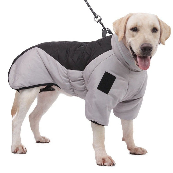 Waterproof Dog Coat - WeatherPaws Bowlift