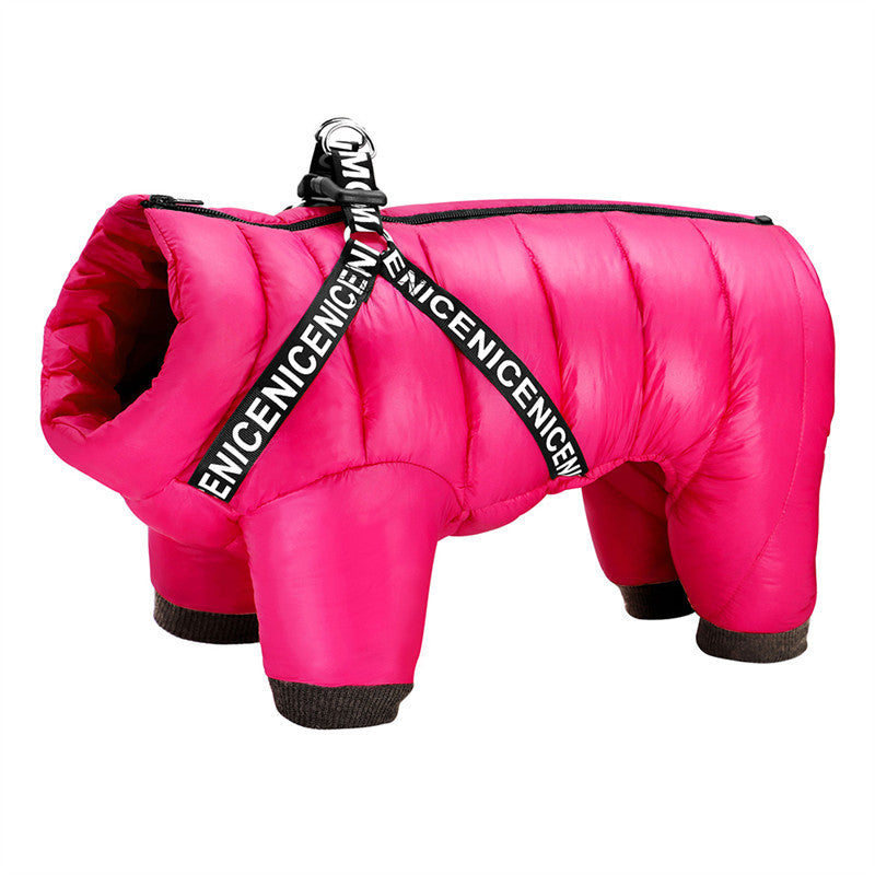 Winter coat for Dogs - ArcticPaws Bowlift