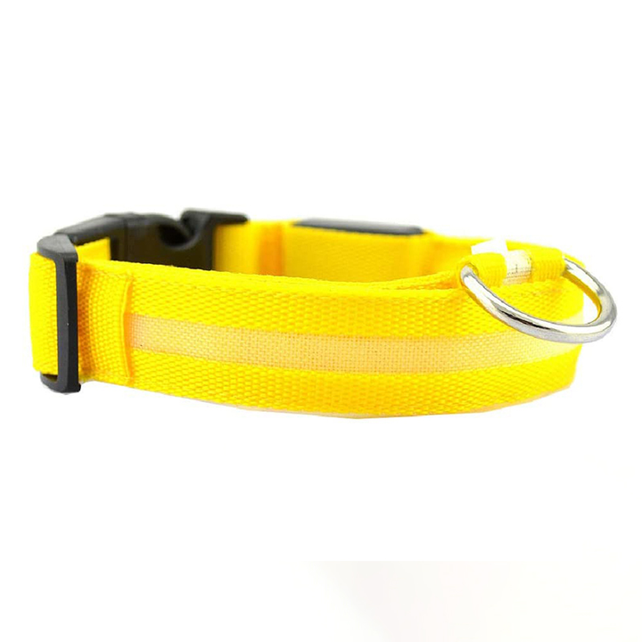 BowLift | Luminous Animal Collar with LED Light – Rechargeable, Waterproof, Adjustable Fit for Enhanced Safety at Night